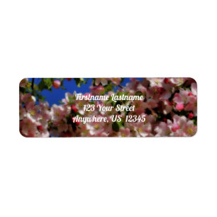 Rosa Vår Blommar Blå himmel Orton Effekt Adress Returadress Etikett