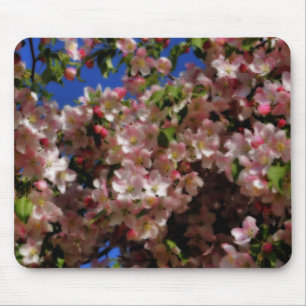 Rosa Vår Blommar Blommigt Art Musmatta