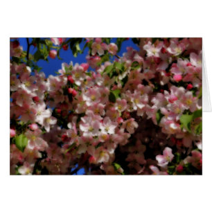 Rosa Vår Blommar Blomsterfotografi Card OBS Kort