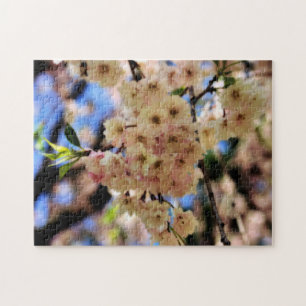 Rosa Vår Blommar Flower Orton Effekt Pussel
