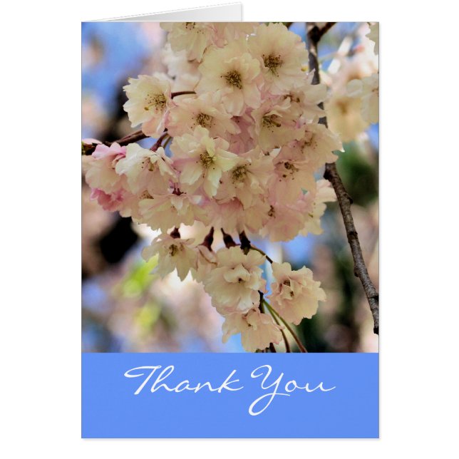 Rosa Vår Blommar Flower Tack OBS Kort (Framsidan)