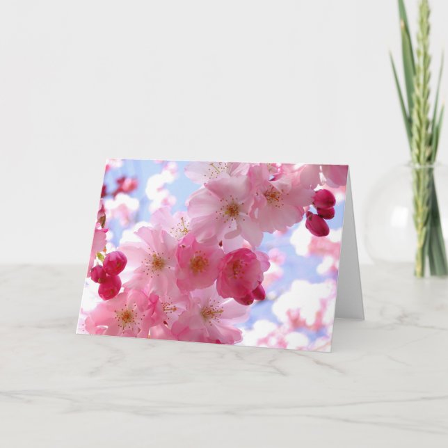 Rosa vår blommar helgkort (Framsida)