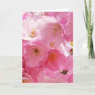 Rosa Vår Blommar Kort
