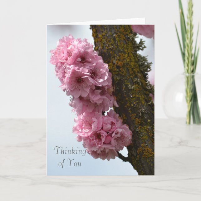 Rosa Vår Blommar Träd Kort (Framsida)