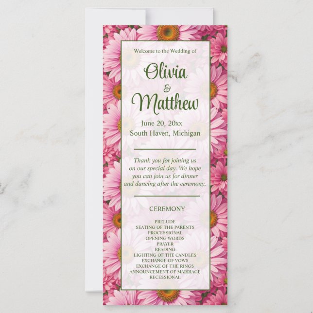 Rosa vår blommigt rosa  daisy återför blommor från (Framsida)