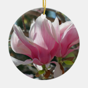 Rosa Vår Magnolia-Blommar blommar Ornament