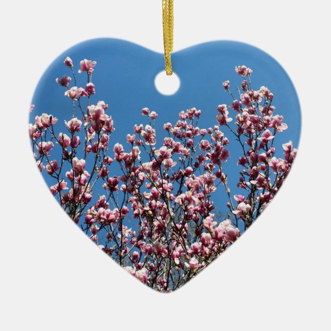 Rosa Vår Magnolia Blommar Blommigt Ornament (Framsidan)