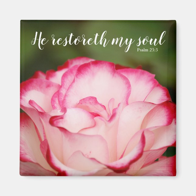 Rosa Variegated Ro Psalm 23:3 Scripture Magnet (Framsidan)