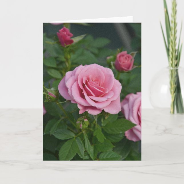 Rosa vårrosor tryckt välkomstkort kort (Framsida)
