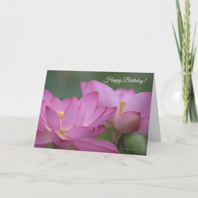 Rosa Vatten Lilies-födelsedagskort Kort (Framsida)