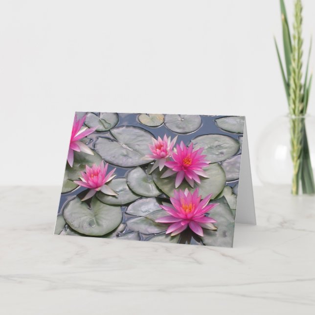 Rosa Vatten Lilies Kort (Framsida)