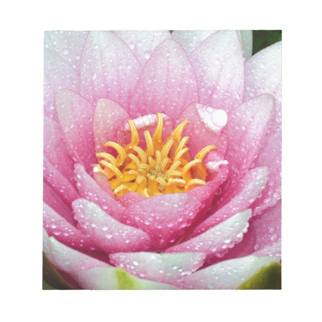 Rosa vatten lilja anteckningsblock (Framsida)