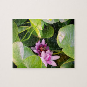 Rosa Vatten Lilly, Lotus Flower Pussel