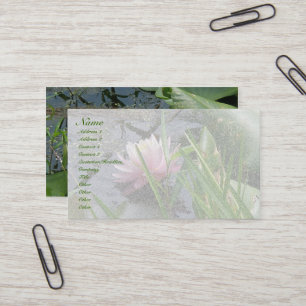 Rosa Vatten Lily Affärskort Visitkort