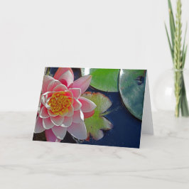 Rosa Vatten Lily Card Kort