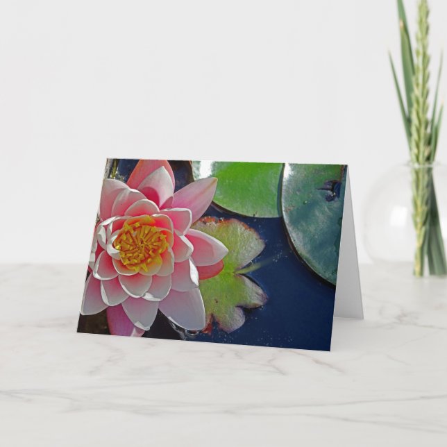 Rosa Vatten Lily Card Kort (Framsida)