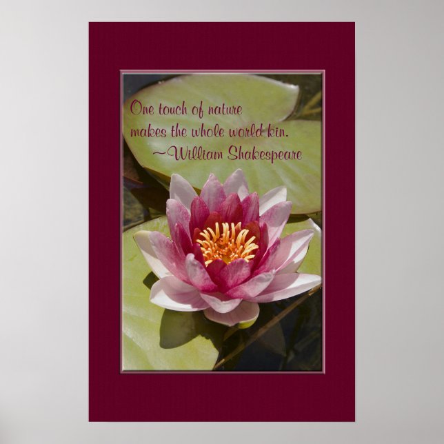 Rosa Vatten Lily Flower Close Photo Anpassningsbar Poster (Framsidan)