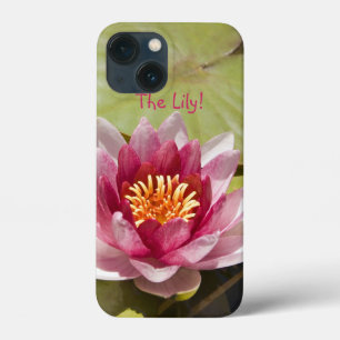 Rosa Vatten Lily Flower Close Photograph