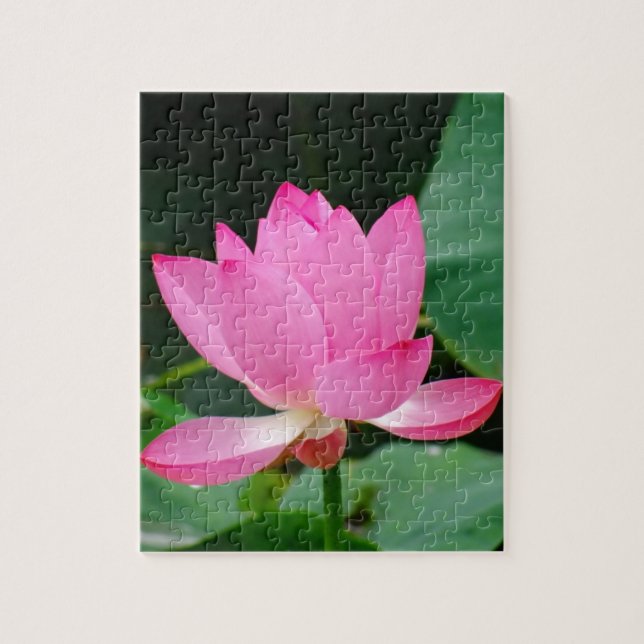 Rosa Vatten Lily i en damm Pussel (Vertikal)