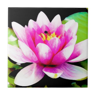 Rosa vatten lily kakelplatta
