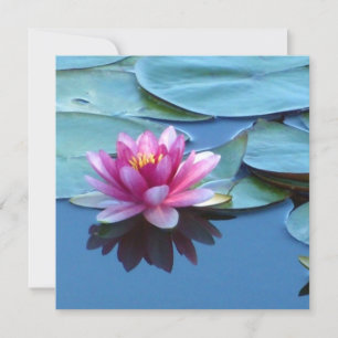 Rosa Vatten Lily Kort