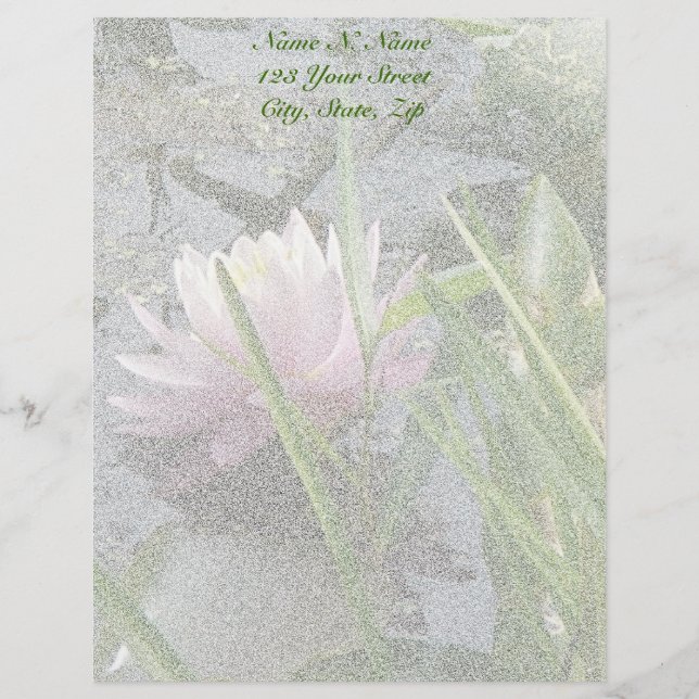 Rosa Vatten Lily Letterhead Brevhuvud (Framsida)