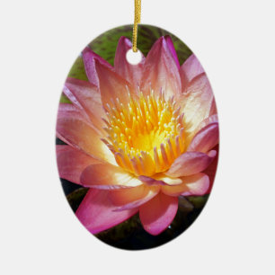 Rosa Vatten Lily Photograph Julgransprydnad Keramik