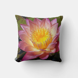 Rosa Vatten Lily Photograph Kudde