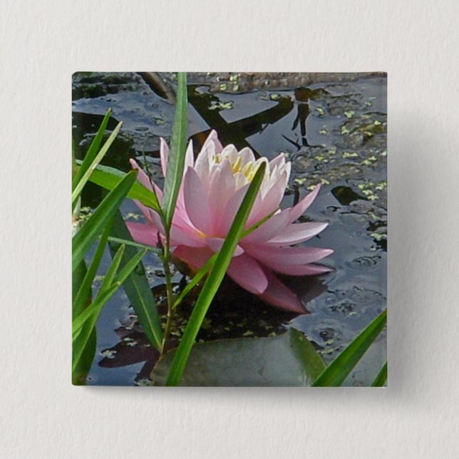 Rosa Vatten Lily Samordningsobjekt Knapp (Framsida)