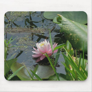 Rosa Vatten Lily Samordningsobjekt Musmatta