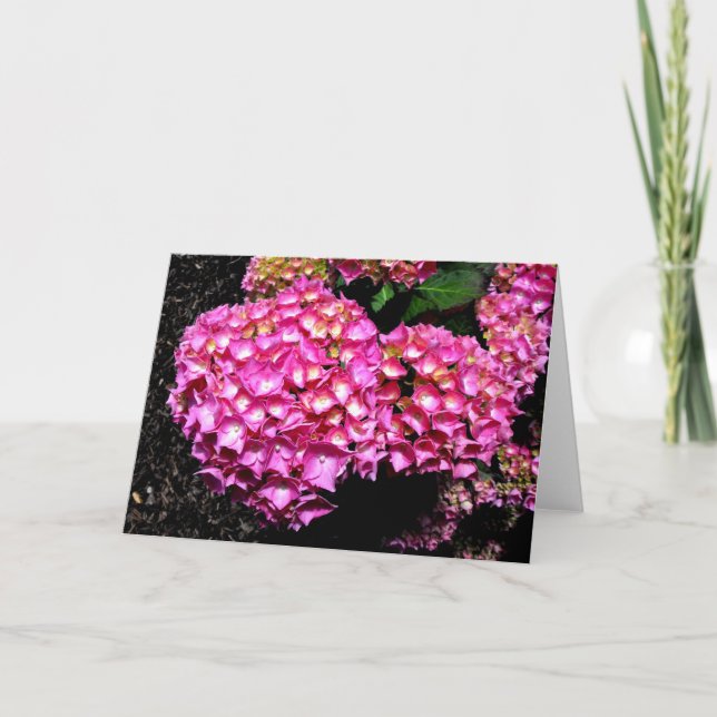 Rosa vattenblommor helgkort (Framsida)