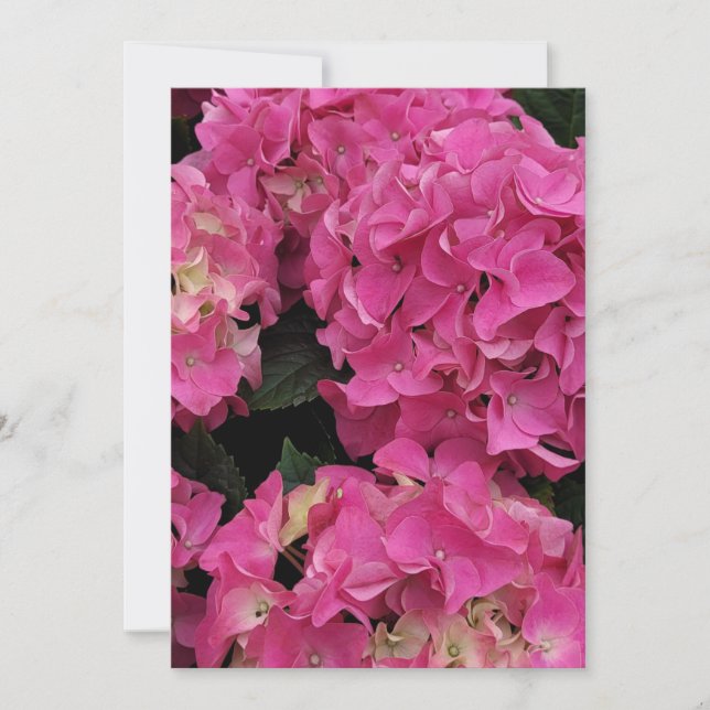 Rosa vattenskönhet inbjudningar (Framsida)