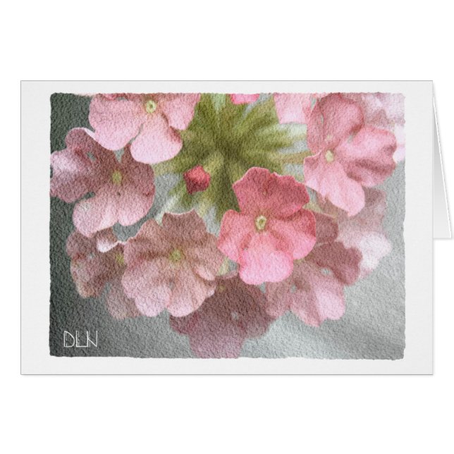 Rosa Verbena/Blommig Konst/Akvarell Utseende OBS Kort (Framsidan Horizontal)