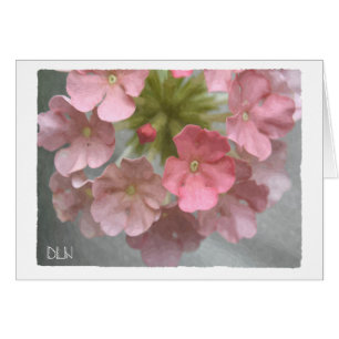 Rosa Verbena/Blommigt Art OBS Kort