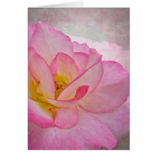 Rosa Victorian Ro Hälsningskort