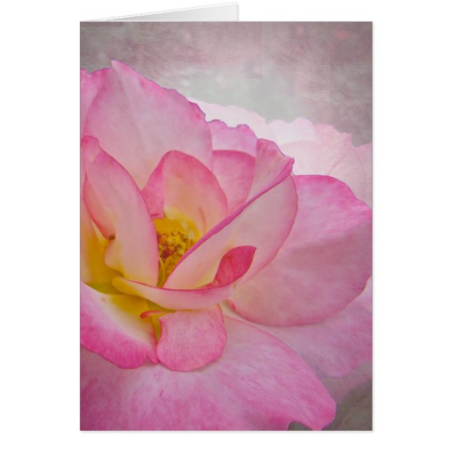 Rosa Victorian Ro Hälsningskort (Framsidan)