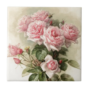 Rosa Victorianro för shabby chic Kakelplatta