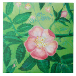 Rosa Vild Ro Illustration Kakelplatta