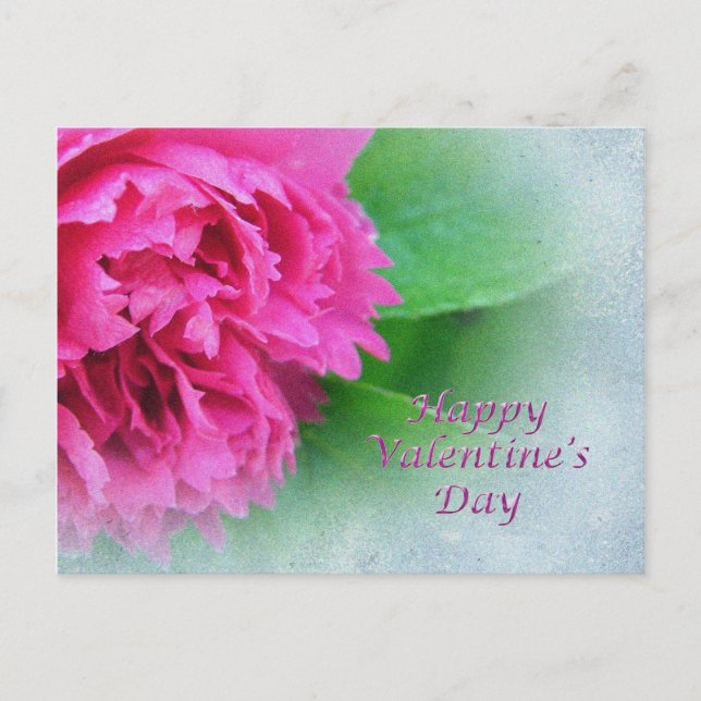 rosa vild ro lycklig valentindag helg vykort (Framsida)