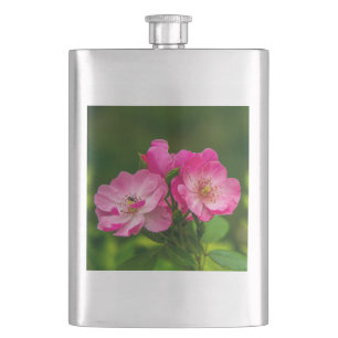 Rosa vilda rosblommor Fotografering Design-52654 Fickplunta