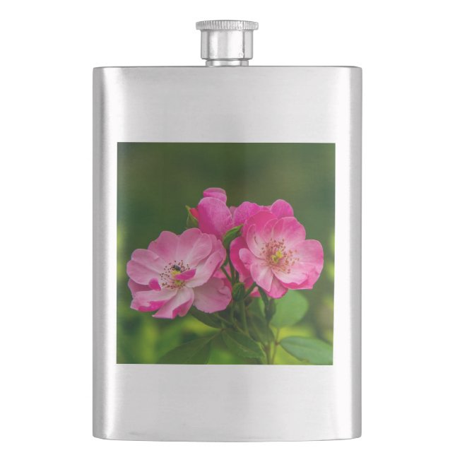Rosa vilda rosblommor Fotografering Design-52654 Fickplunta (Framsidan)
