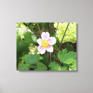 Rosa vildblomma canvastryck | Botanisk blomsteruts