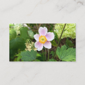 Rosa vildblomma visitkort | Botaniskt blommotiv