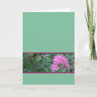 Rosa vildblommahälsningkort kort