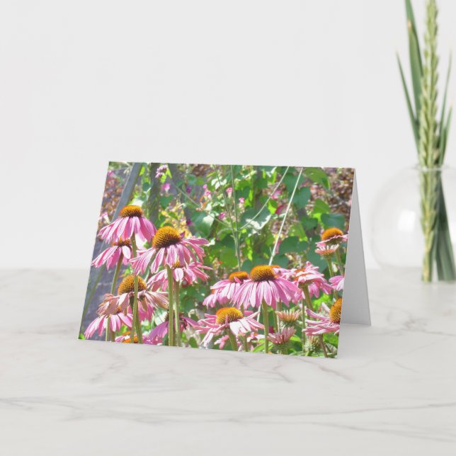 Rosa vildblommar kort (Framsida)