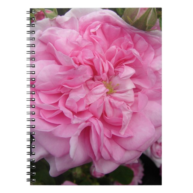 Rosa vintage blommor blommor anteckningsbok (Framsidan)