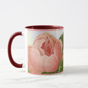 Rosa Vintage Botanisk Rosenknopp Kaffe Mugg