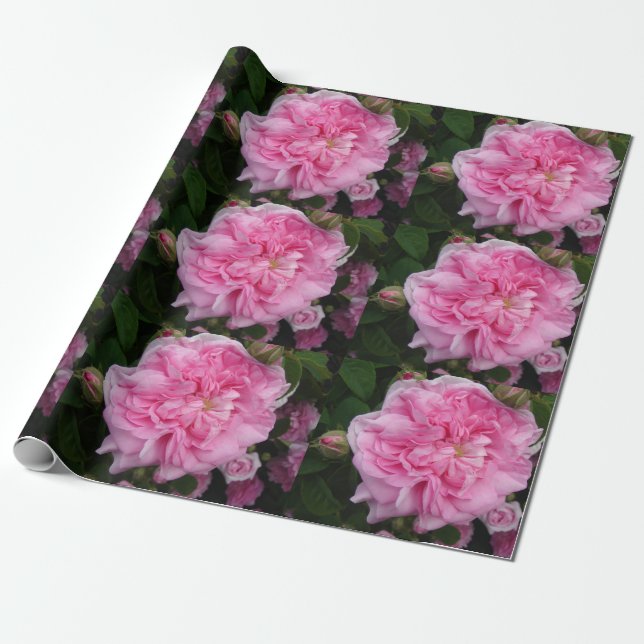 Rosa Vintage Ro blommor blommigt Wrapping Presentpapper (Utrullad)