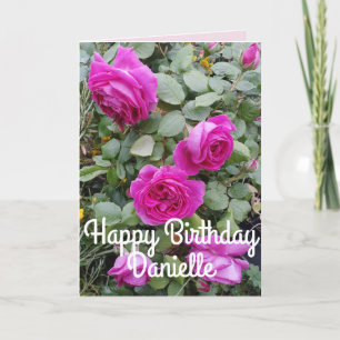 Rosa Vintage Ro Flower Blommigt Birdday Card Morsa Kort