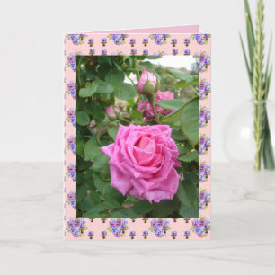 Rosa Vintage Ros Rosor blommor trädgård Kort
